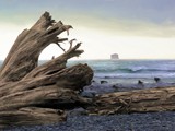 Rialto Beach 87_Painting