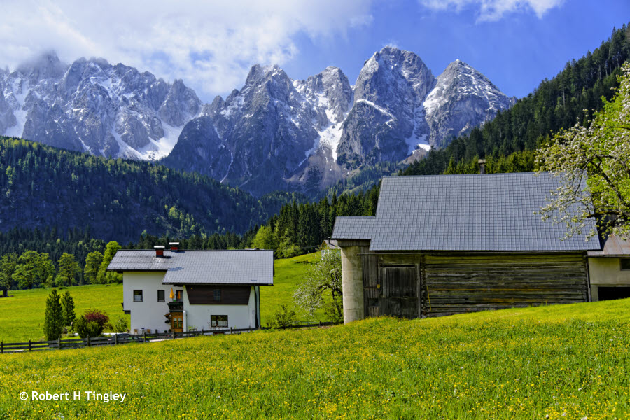 Tyrolean View