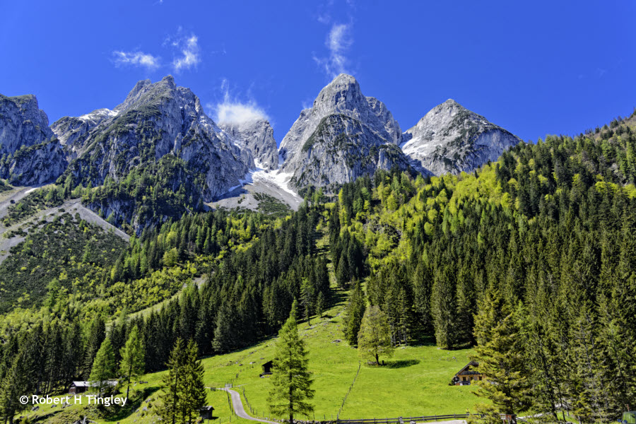 Tyrolean View