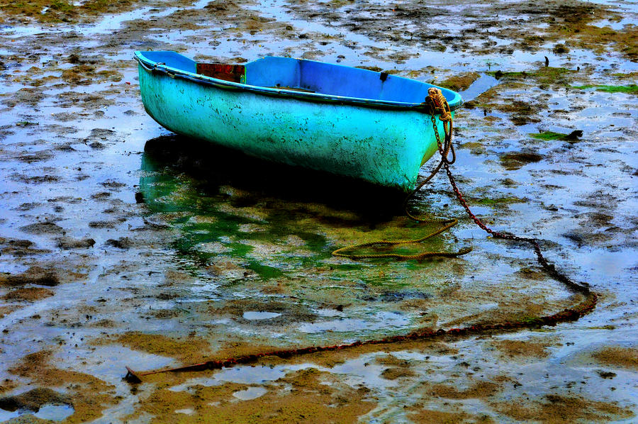 Cap Ferret #2