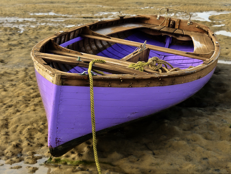 Cap Ferret #7