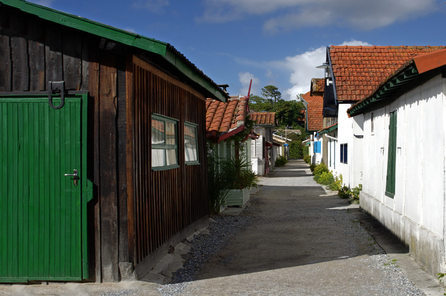 Cap Ferret #19