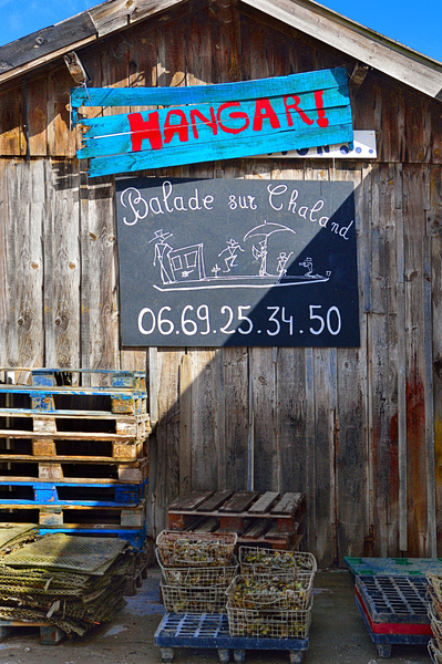 Cap Ferret #28