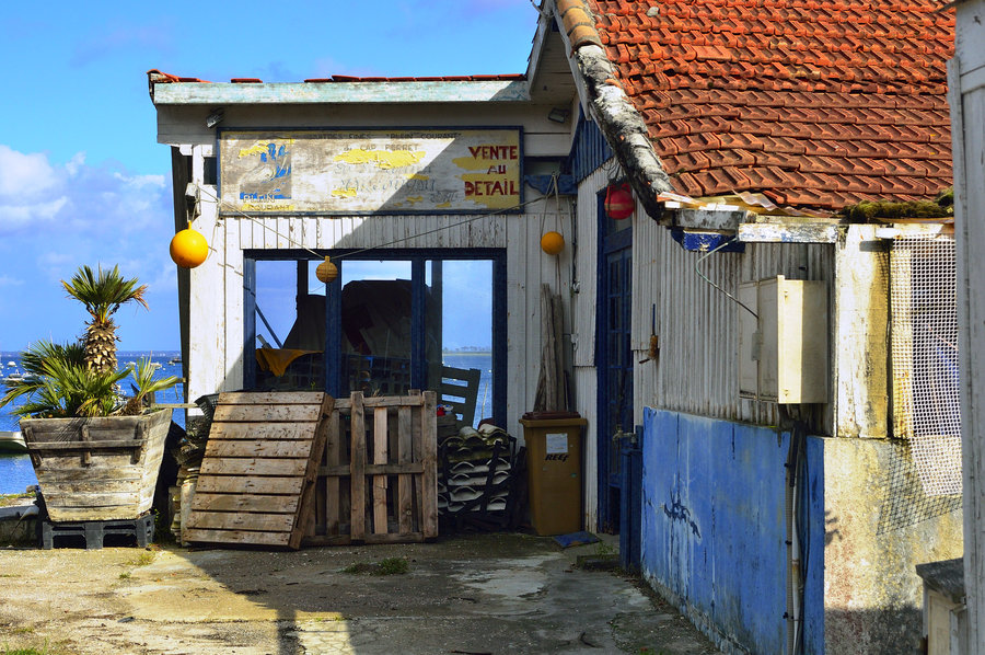 Cap Ferret #32