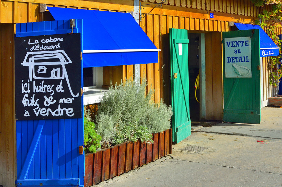 Cap Ferret #49