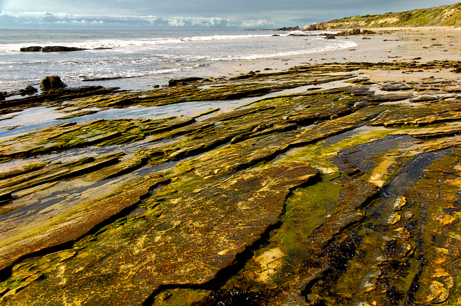 Crystal Cove #3