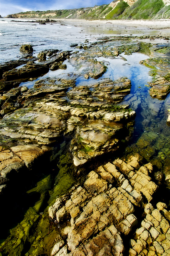 Crystal Cove #5