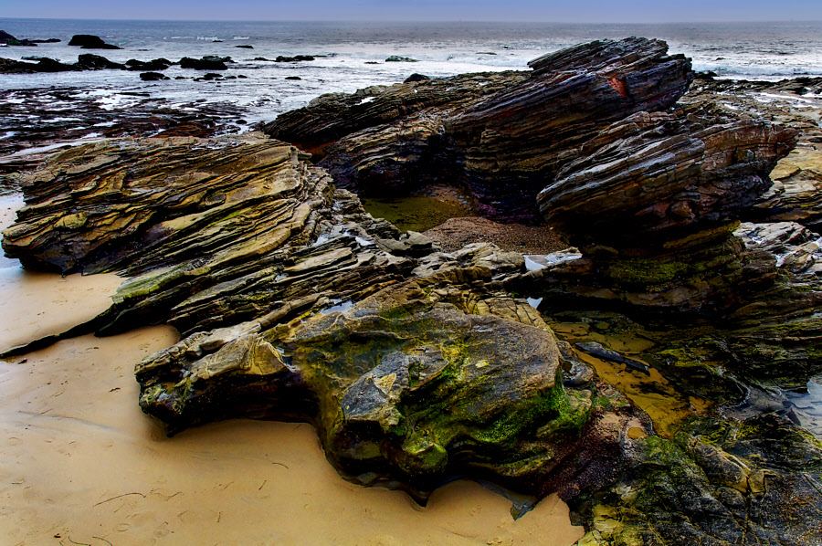 Crystal Cove #37
