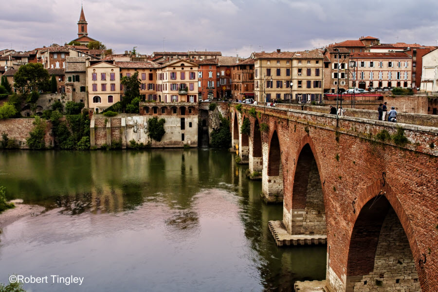 Albi #15
