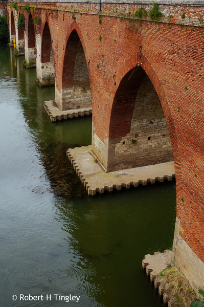 Albi #17