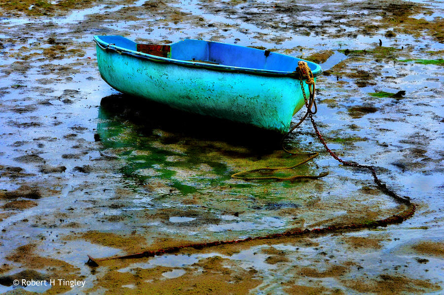 Cap Ferret