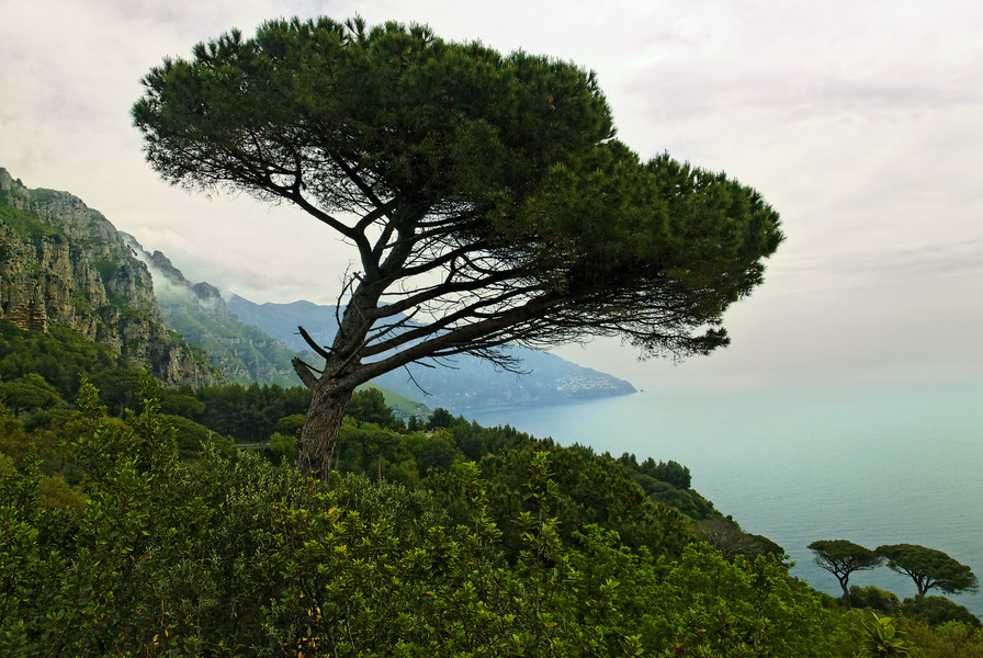 Amalfi Coast #23