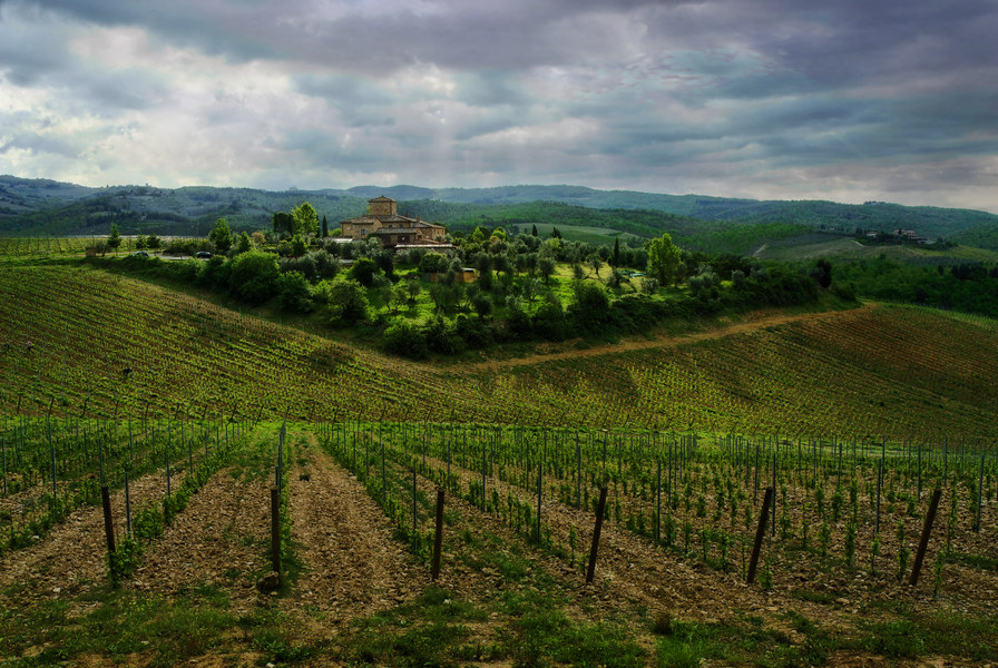 Rocca delle Macie