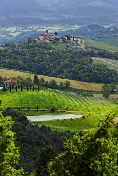 Chianti Landscape