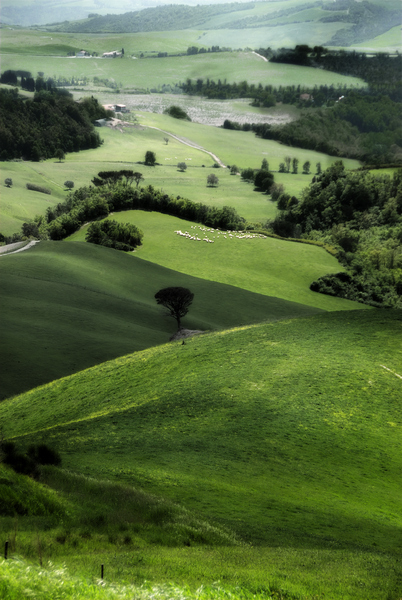 Pastoral Valley