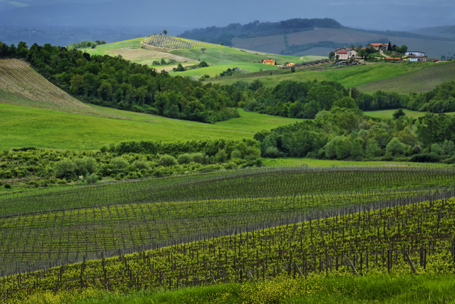 Chianti #76