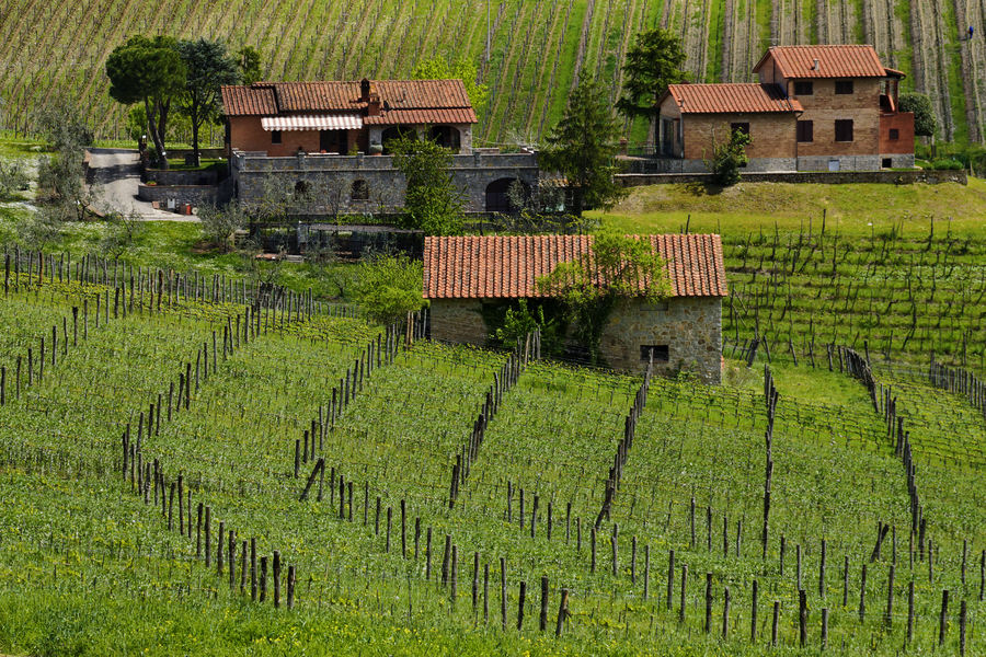 Chianti Farmhouse