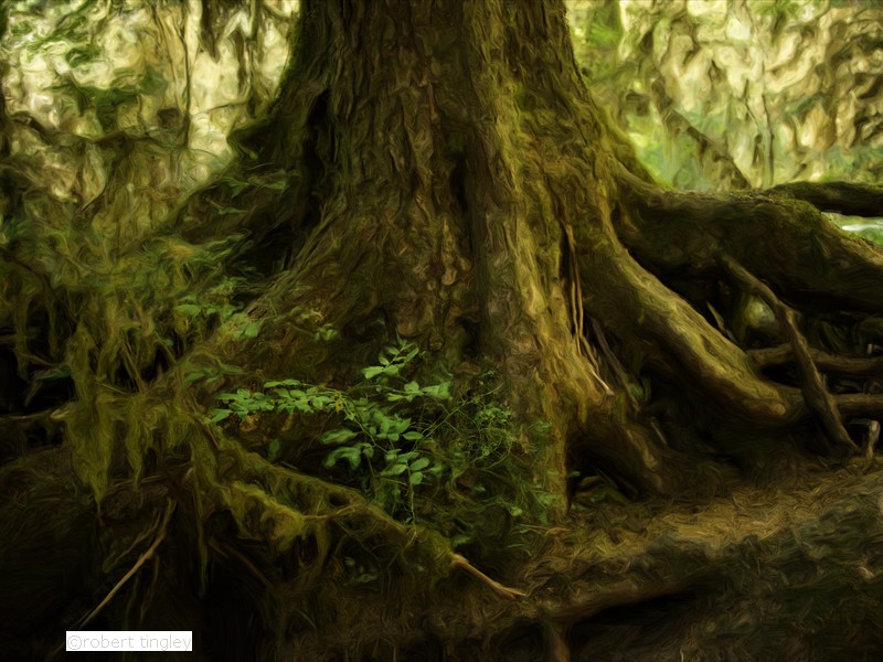 Hoh Rainforest 111_Painting