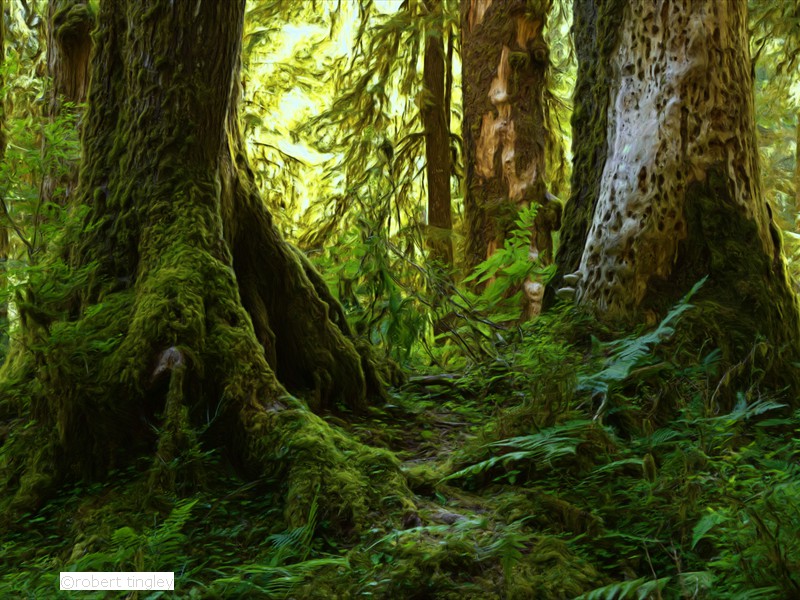 Hoh Rainforest 54_Painting