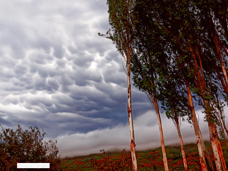 Weather Pattern 659_Painting