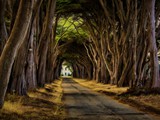 Point Reyes 12_Painting