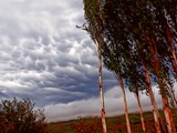 Weather Pattern 659_Painting